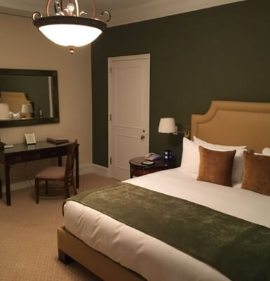 The deep, olive green décor of Interior Room #515 exudes understated luxury.